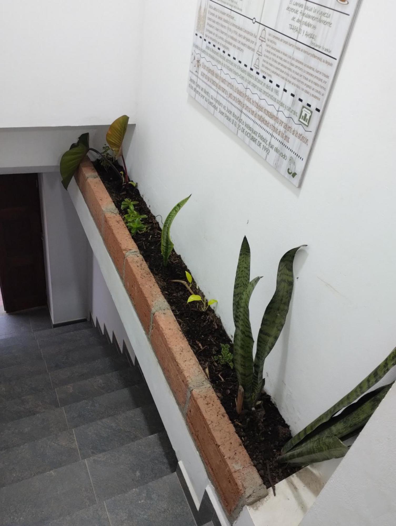 Montesco Apartment Jardin Exterior photo